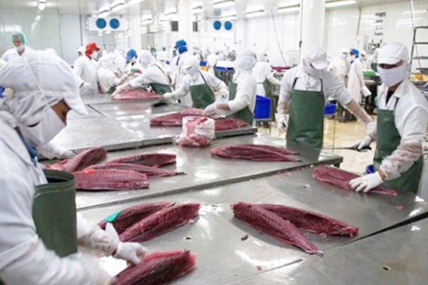 Thị trường Chile - cơ hội mới cho cá ngừ Việt Nam