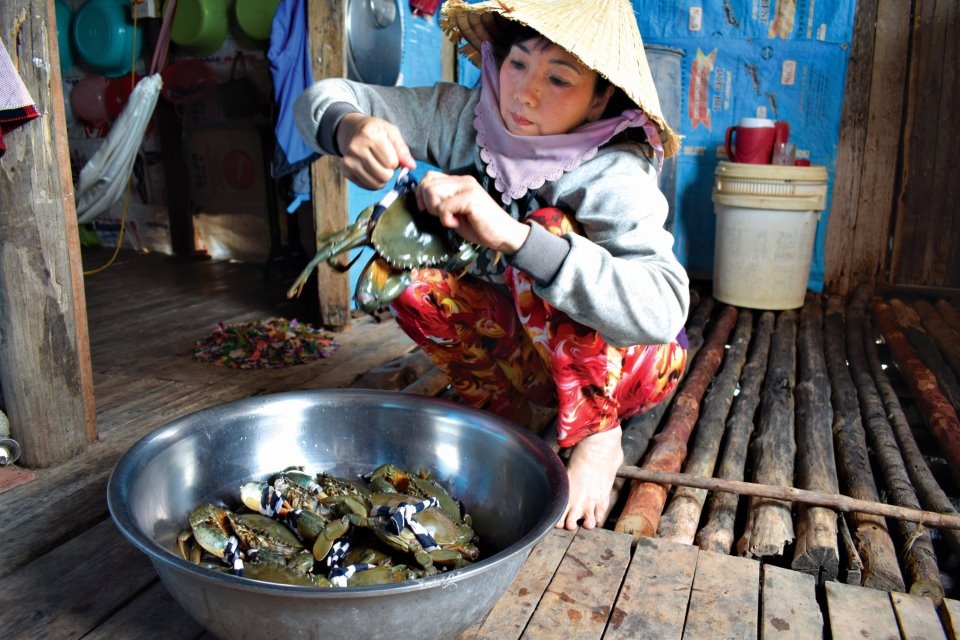 Nông dân Năm Căn chủ động nuôi trồng thủy sản bền vững