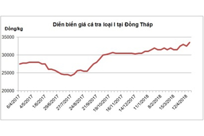 Lo ngại giảm sức cạnh tranh của cá tra Việt khi giá tăng cao