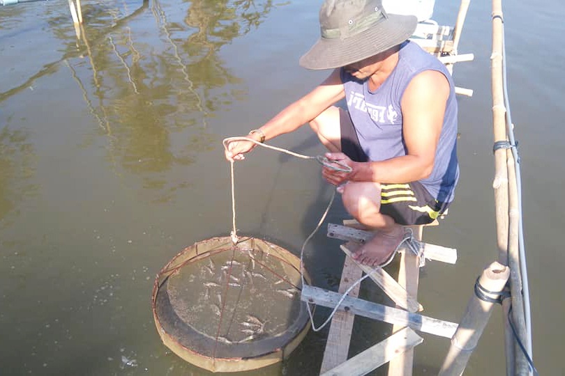 Quản lý nuôi trồng thủy sản bền vững