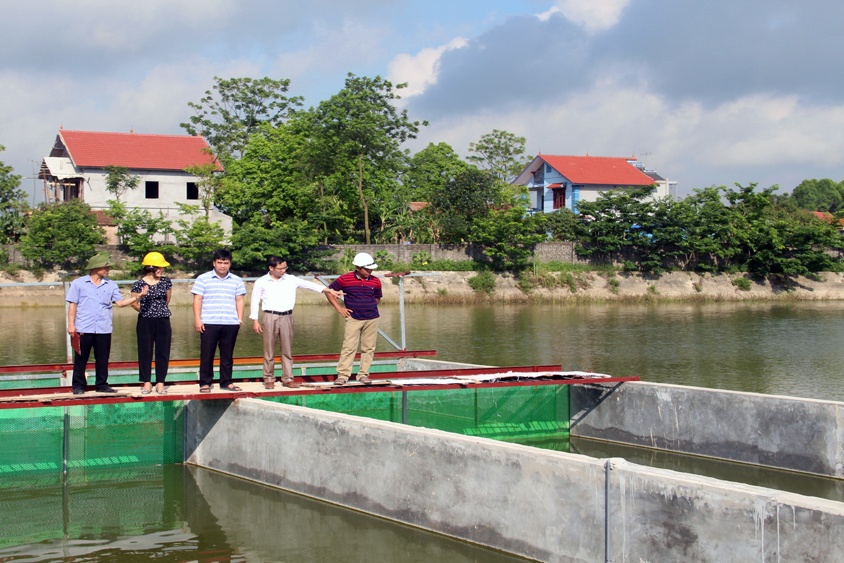 Mô hình ứng dụng công nghệ cao trong nuôi cá thâm canh