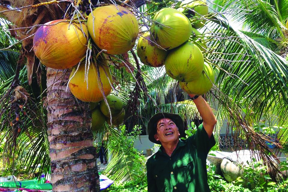 “3 kết hợp” thu lãi cao