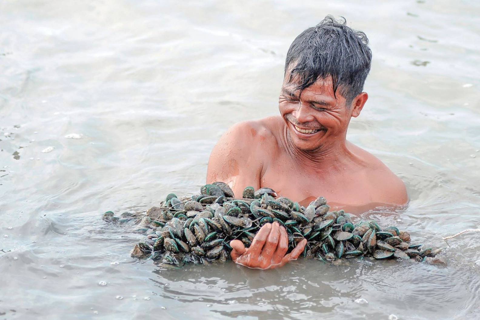 Thu nhập cao từ nuôi sò huyết xen vẹm xanh ven biển