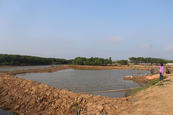 Phá rừng phòng hộ, lấn hẳn ra sông Mơ để nuôi tôm