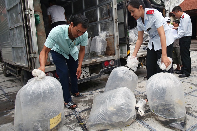 17.000 cá giống được phóng sinh nhân đại lễ Phật đản 2018