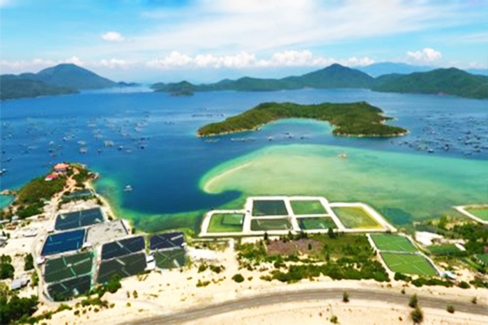 Khánh Hòa: Quy hoạch phát triển ngành thủy sản đến năm 2025