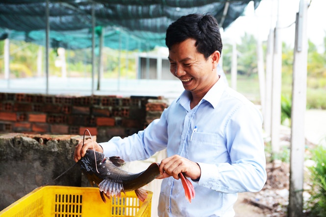 Chàng trai từ không có chòi ở thành ông chủ trại cá lăng nha giống tiền tỉ