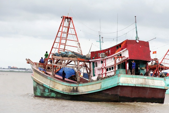 Công bố công khai tàu cá vi phạm IUU