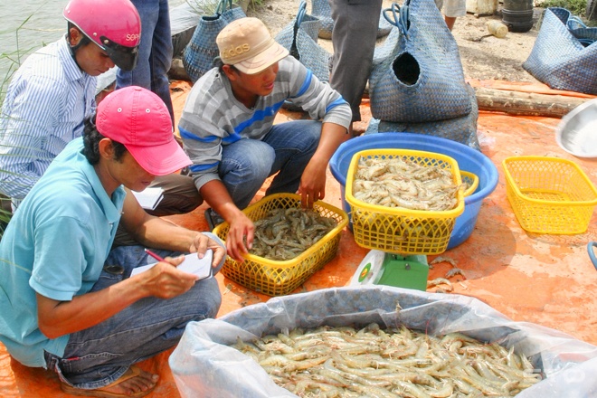 Tiếp cận khôn ngoan, tiêu thụ dễ dàng
