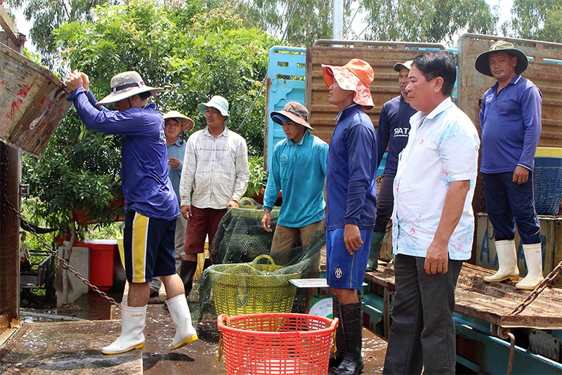 Xuất khẩu cá vào thị trường Campuchia tăng mạnh