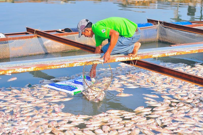 Không đồng tình với kết luận cá chết ở La Ngà, người dân khởi kiện