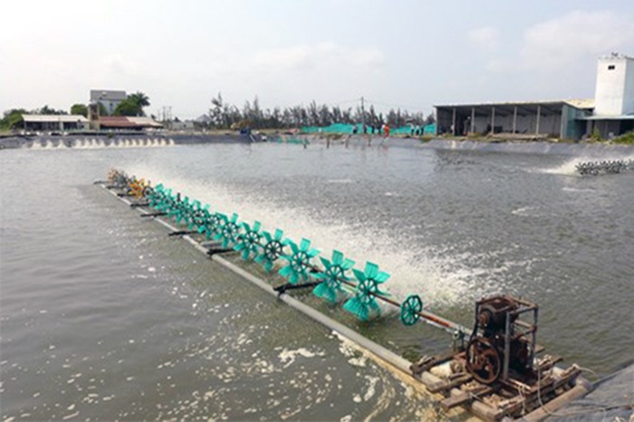 Cải tiến dàn quạt tạo oxy để tiết kiệm điện trong nuôi tôm