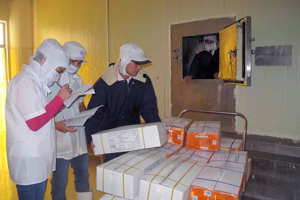 Quy hoạch lại ngành cá tra