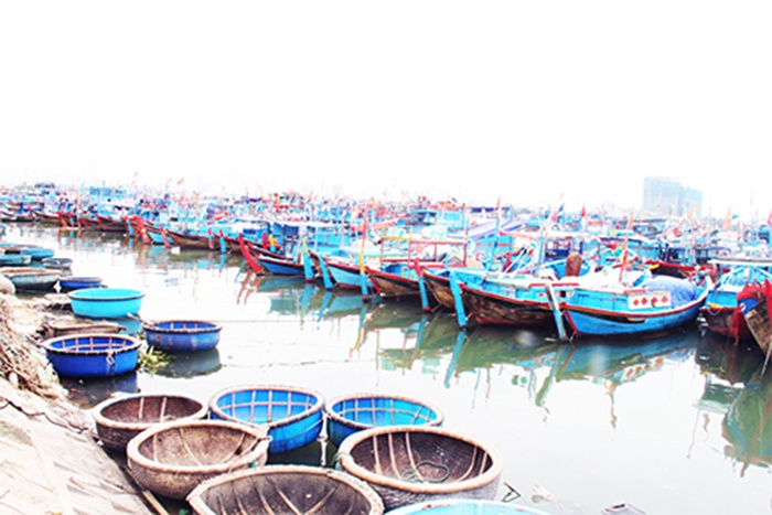 Khánh Hòa: Nhiều tàu cá nằm bờ