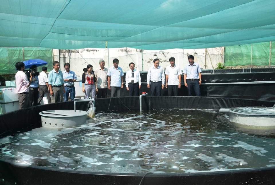 Tin vắn thủy sản địa phương trong tuần 24 năm 2018