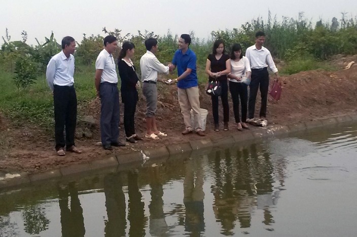 Nuôi cá khép kín, thu lãi hàng trăm triệu đồng mỗi năm