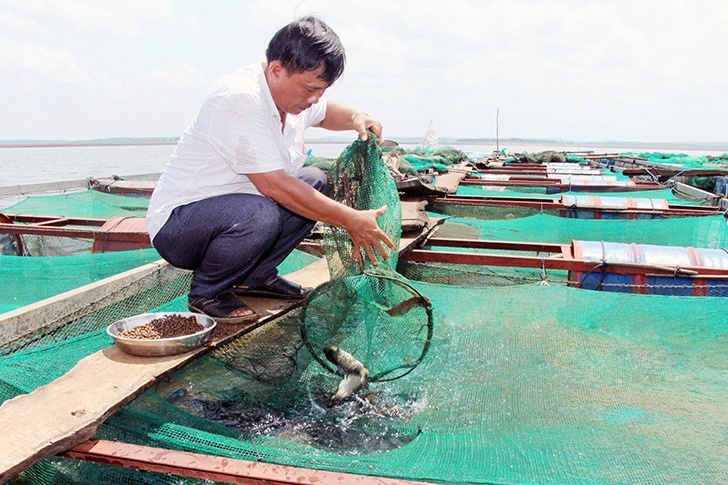 Làm giàu từ nuôi cá trên lòng hồ thủy điện Thác Mơ