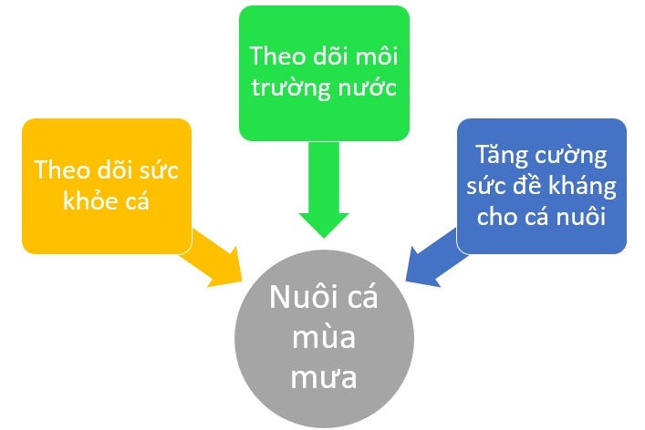Biện pháp phòng trị bệnh cho cá trong mùa mưa lũ