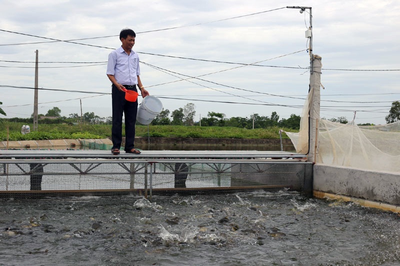 “Sông trong ao” hiệu quả ở Ứng Hòa