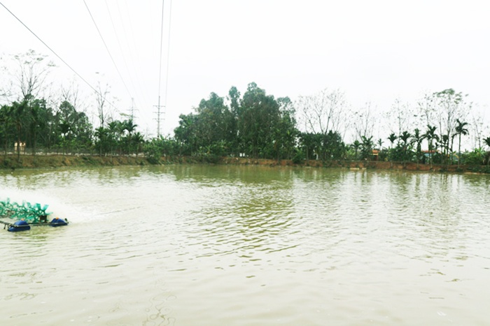 Khuyến cáo các biện pháp quản lý nuôi thủy sản trong mùa mưa