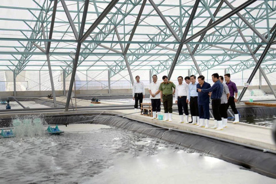 Cấp bách gỡ khó cho ngành tôm