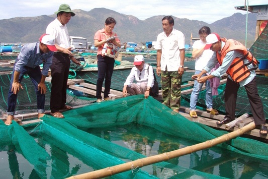 Khánh Hòa: Diện tích nuôi trồng thủy sản giảm