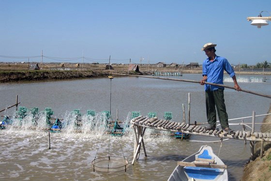 HCM: Thông báo kết quả quan trắc môi trường nuôi tháng 6