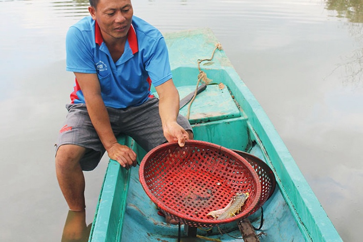 Thành công với mô hình nuôi tôm tích lồng, đặt trong vuông