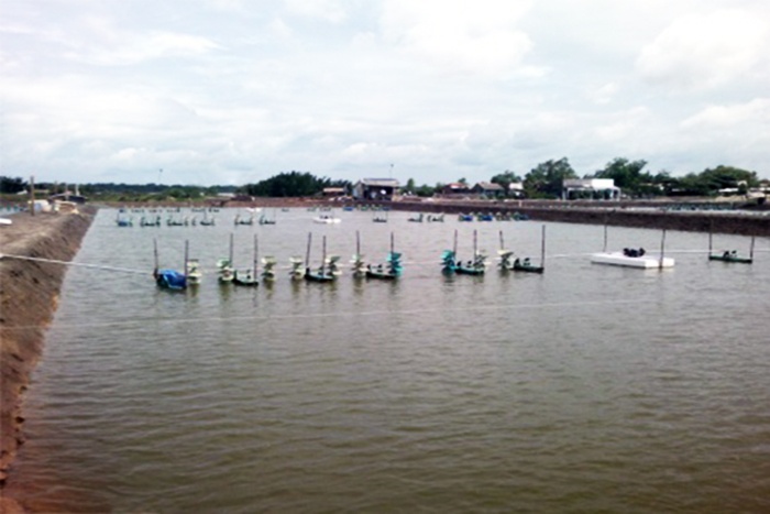 Tân Phú Đông tập trung phát triển kinh tế thủy sản