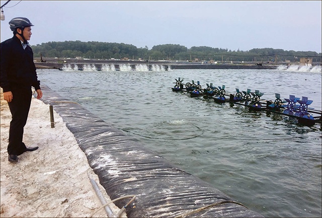 Kỷ luật nhiều cán bộ liên quan đến nuôi tôm trái phép ở Vinh Mỹ