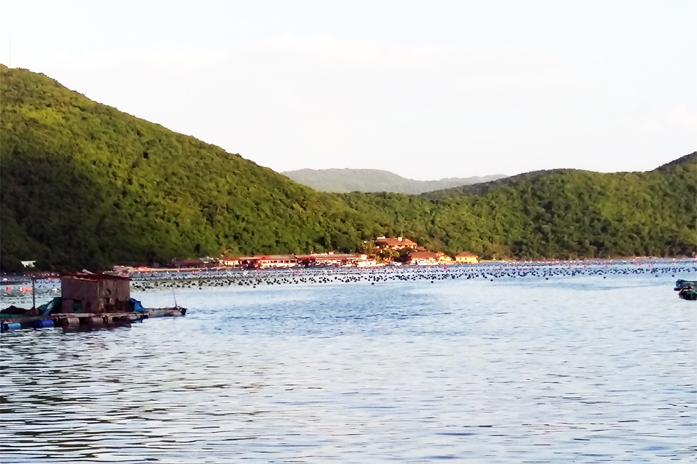 Tiền thuê mặt biển nuôi trồng thuỷ sản được tính thế nào?