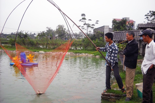 Thiếu nguồn nước sạch nuôi trồng thủy sản