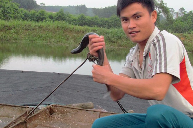 Chàng trai Quảng Bình làm giàu nhờ bỏ phố về quê nuôi cá chình