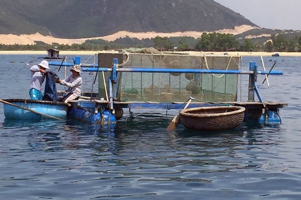 Quy định nuôi thủy sản lồng, bè ở Phú Yên