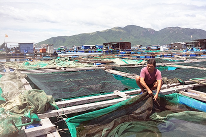 Nha Trang: Hỗ trợ khôi phục nuôi trồng thủy sản