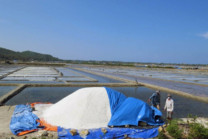 Khuyến khích diêm dân sản xuất muối trải bạt