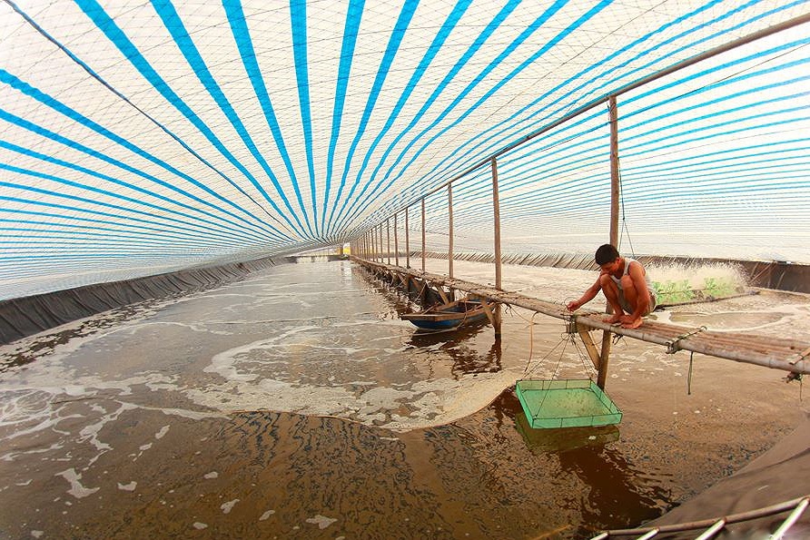 Kinh nghiệm phòng chống nắng nóng cho thủy sản ở Hà Tĩnh
