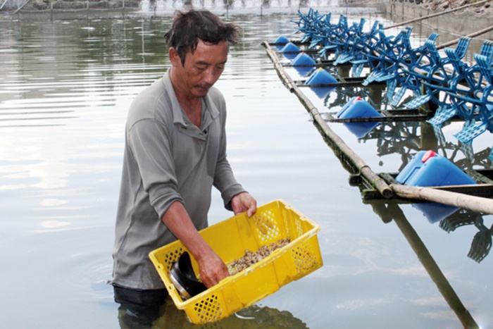 Ninh Hải phát triển nuôi trồng thủy sản theo hướng bền vững