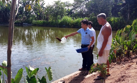 Hiệu quả mô hình ương nuôi cá giống ở Yên Đồng