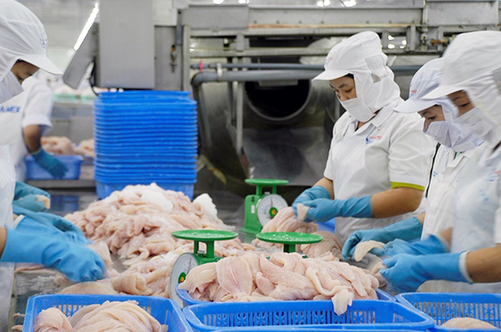 Trở ngại mới cho cá tra Việt Nam vào thị trường Arab Saudi