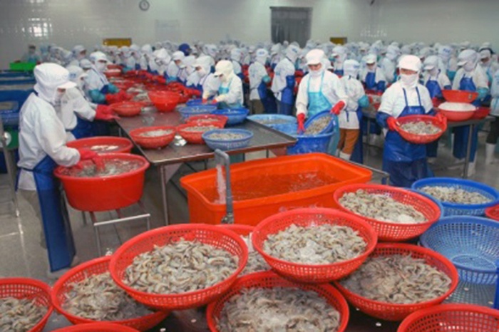 Tăng cường kiểm soát an toàn thực phẩm thủy sản xuất khẩu sang Hàn Quốc