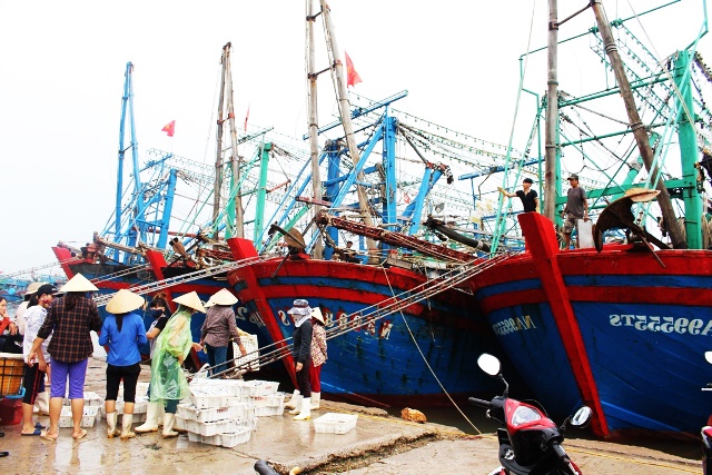 Sau bão, ngư dân Quỳnh Lưu thu nhập khá từ khai thác hải sản