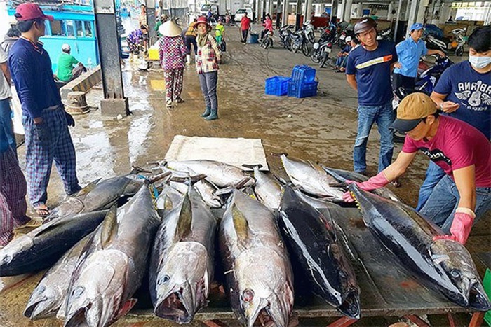 EC ra điều kiện rút “thẻ vàng” cho thủy sản Việt Nam