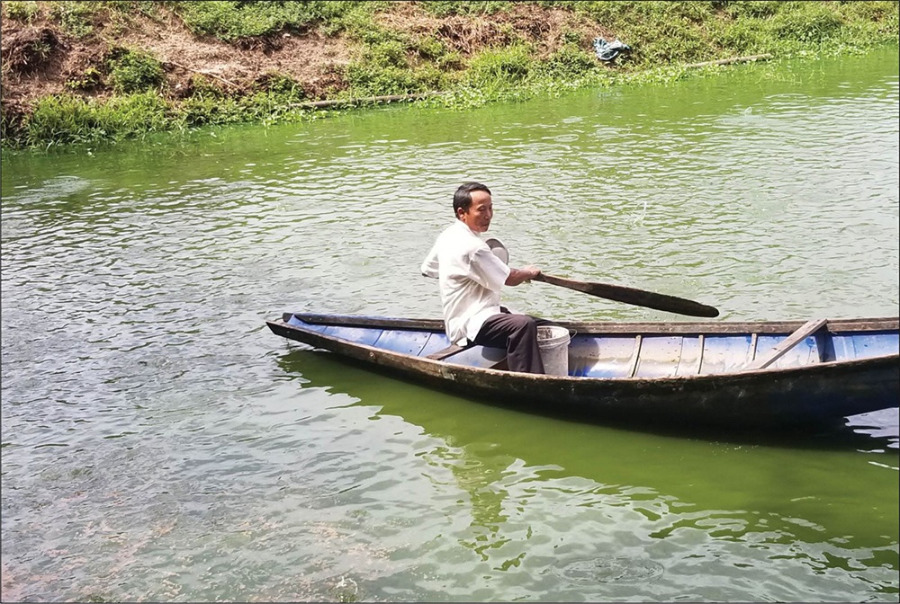 Làm giàu nhờ mạnh dạn dầu tư nuôi cá