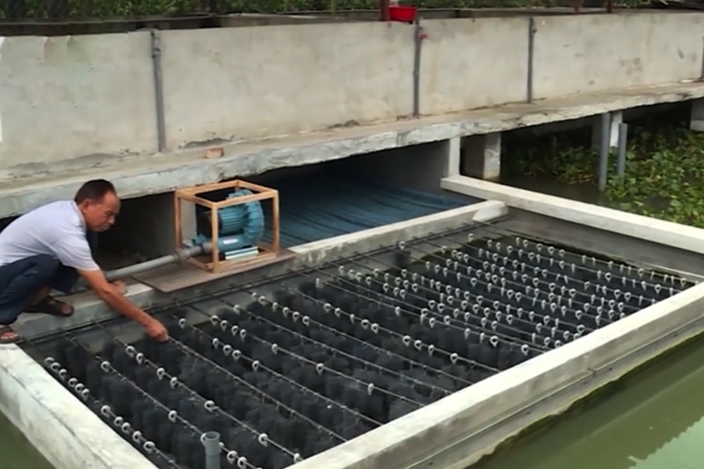 Nhập khẩu bể lọc để nuôi ếch: "Chất đến từng đồng"