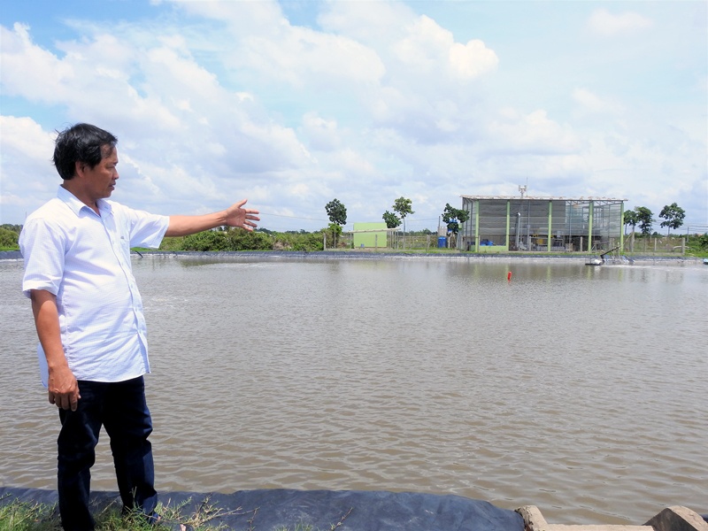 Mô hình nuôi tôm