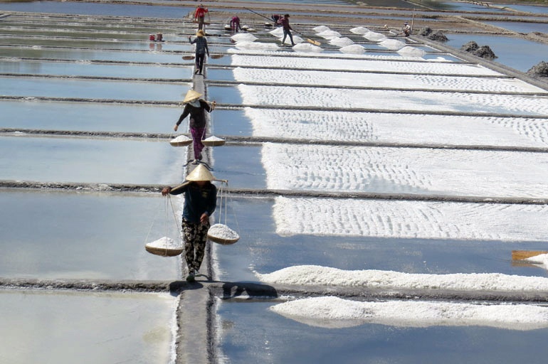 Muối tăng giá, diêm dân phấn khởi