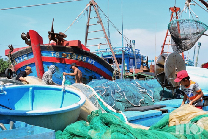 Hiệu quả nghề lưới rê trong đánh bắt hải sản xa bờ