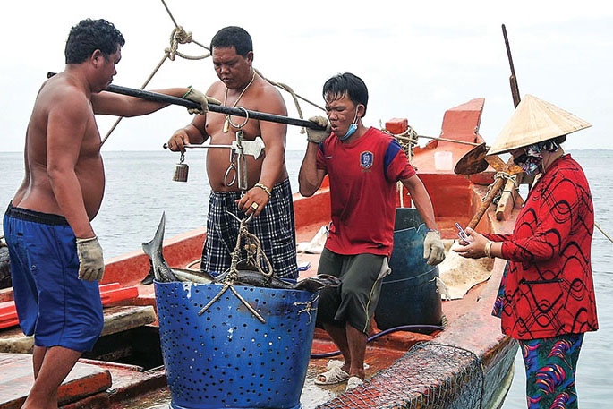 Lênh đênh nghề nuôi cá lồng bè ở Đảo Hòn Chuối