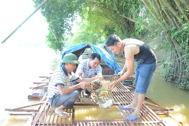 Làng có cuộc sống ấm no từ "chúa tể" dòng sông